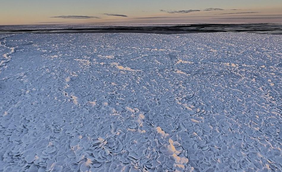 Polynjas sind Bereiche offenen Wassers umgeben von Meereis. Sie sind „Eisfabriken“, die durch starke Winde aus dem Inneren der Antarktis zehnmal mehr Meereis produzieren als durchschnittlich. Frisch geformtes Eis wird ständig beiseitegeschoben neues Meereis gebildet. (Bild: IMAS)