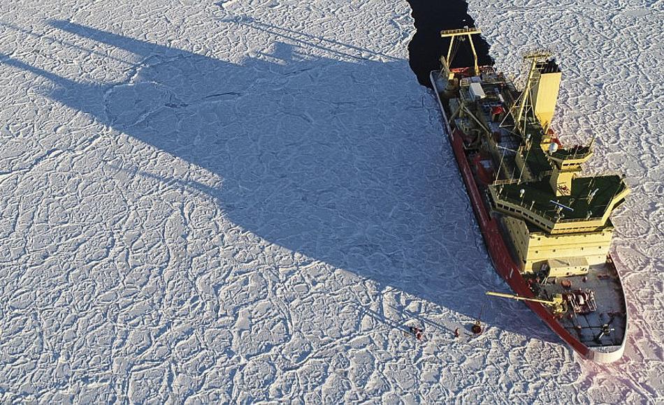 Das „Drachenhauteis“ wurde von Forschern an Bord des Nathaniel B Palmer Forschungsschiffs entdeckt. Die gegenwärtige Reise begann Anfang April, nachdem sich die meisten anderen Antarktis-Expeditionen bereits in wärmere Gebiete zurückgezogen haben. (Bild: IMAS)