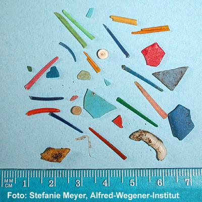 Diese Sammlung kleiner Plastikreste gibt einen ersten Überblick über die Formenvielfalt des Mikromülls. Im Vergleich zu den allerkleinsten Partikeln sind die hier abgebildeten Beispiele jedoch noch wahre Riesen.