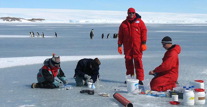 Die Forscher des AWI entdeckten die Kristalle auf zwei Antarktis-Expeditionen in den Jahren 2006 und 2007. Meereisprobennahme auf dem Festeis vor der Französischen Station Dumont D'Urville in der Antarktis.
