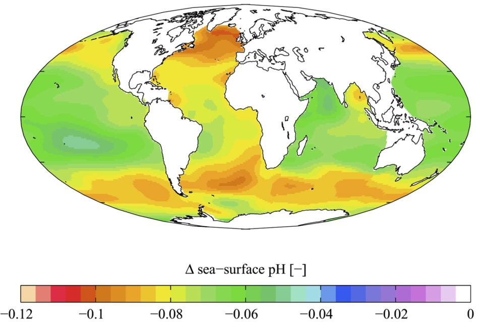 Die Welt-Ozeane werden immer sauer. Gezeigt ist hier die geschätzte Veränderung des Meerwasser-pH-Wertes (ein Maß für den Säuregehalt des Wassers), die durch das von Menschen erzeugte Kohlendioxid verursacht wurde. Gelb und orange zeigen eine Zunahme des Säuregehalts zwischen den 1700er und 1990er Jahren an. Die Daten basieren auf dem Global Ocean Data Analysis Project (GLODAP) und dem World Ocean Atlas. (Bild: Wikipedia, Plumbago)