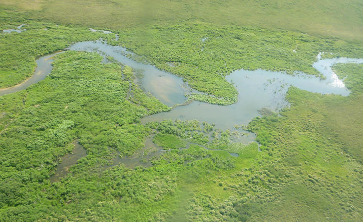 Die flachen Tundragebiete im Beringmeer sind im Sommer von Flu00fcssen und kleinen Seen durchzogen,