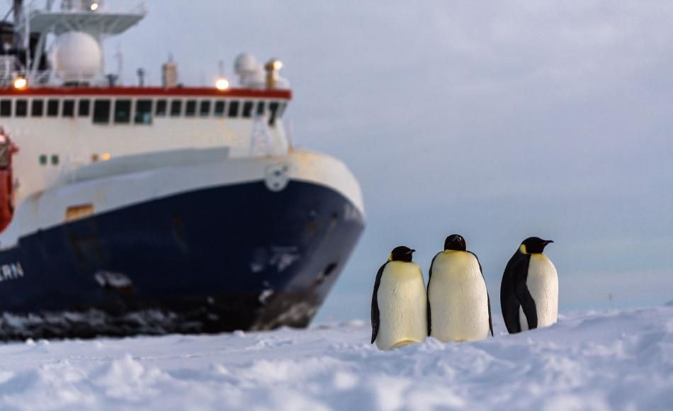 Biologische Vielfalt rund um die Antarktische Halbinsel veröffentlicht